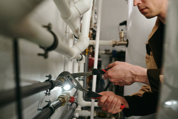 Best Sewer Line Replacement  in Taylorvle, IL