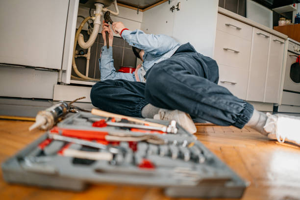 Best Plumbing Installation Services  in Taylorvle, IL